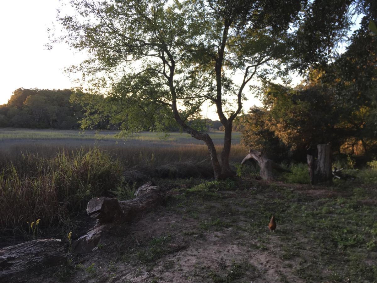 Beaufort Sc New Renovation, Close To Parris Island, Historic Downtown, Beautiful Beaches, Sleeps 8 Exteriör bild
